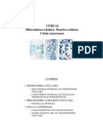 CURS 14.pdf