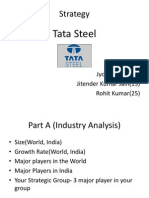 234733357-Tata-Steel