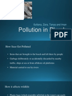 pollution in plumb beach pptx