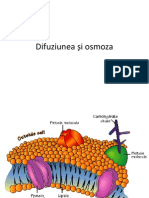 Difuziunea, Osmoza Si Mecanismele de Transport PDF