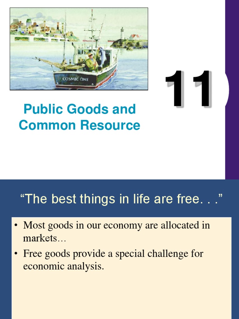 Public Goods and Common Resource | PDF | Public Good | Cost–Benefit ...