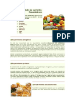 Nutricion Pae