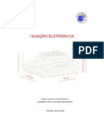 Injecao - Material Didático