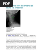 Equivalência entre as vértebras da coluna e o emocional.docx