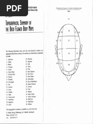 81308223 Body Map for Flower Essence