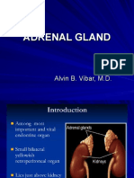 Adrenal 1 5