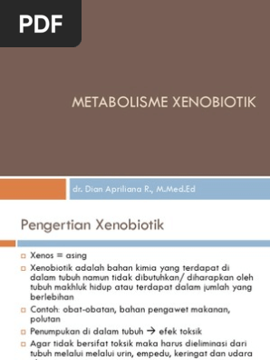 Metabolisme Xenobiotik