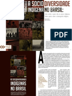 Texto 01 - A Sociodiversidade Indígena.pdf