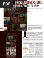 Texto 01 - A Sociodiversidade Indígena.pdf