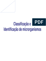16 e 17_Classificacao e Identificacao Microrganismos