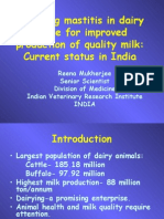 Managing Mastitis in Dairy Cattle For Improved