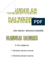 Glandulas_Salivales