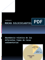 Rocas Siliciclasticas