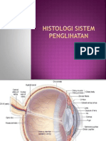 Histologi Sistem Penglihatan