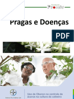 Pragas, Doenças e Plantas Daninhas PDF