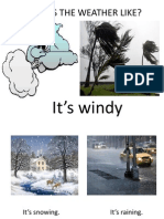 Whats the Weather Like POWER POINT PR.