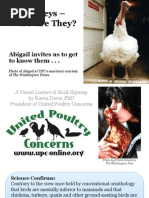 Download Turkeys  Who Are They by Vegan Future SN249799032 doc pdf