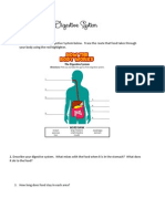 digestive system