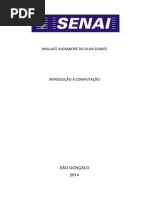 trabalho chafin_senai_wallace.docx