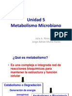 Unidad 5 Metabolismo Microbiano 2014-2
