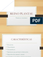 Reino Plantae