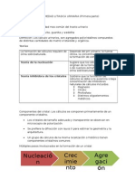 LITIASIS 1