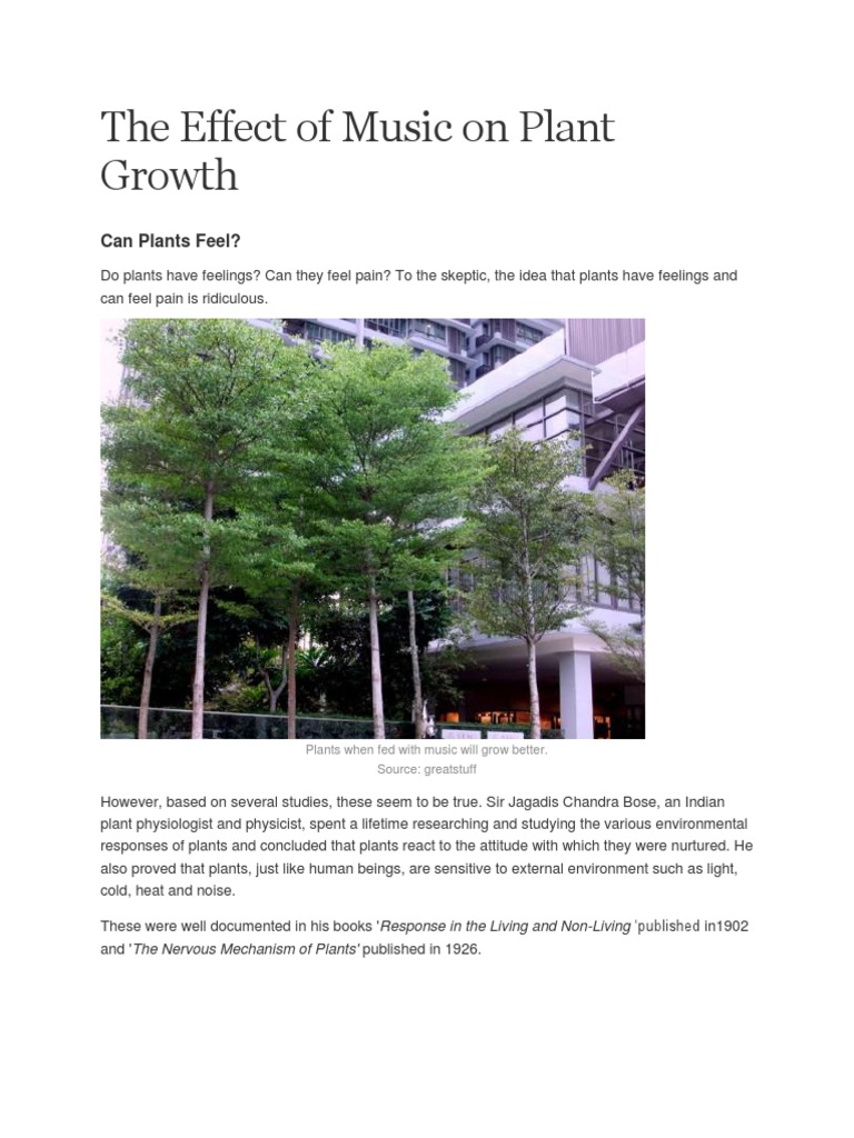 The Effect of Music on Plant Growth Vineyard Sound