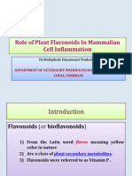 Role of Plant Flavonoids in Mammalian Cell Inflammation