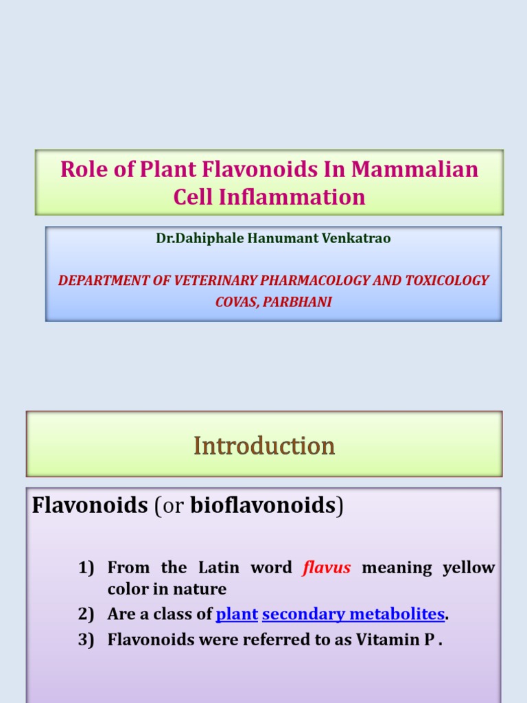 Role of Plant Flavonoids In Mammalian Cell Inflammation.pptx