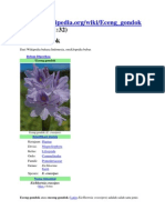 Eceng Gondokkk