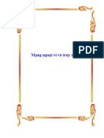 Mang-ngoai-vi-va-truy-nhap.pdf