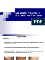 Inflamatiile Globului Ocular Si Ale Anexelor