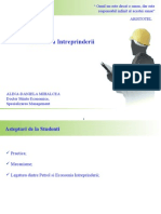 C3 - Economia Intreprinderii