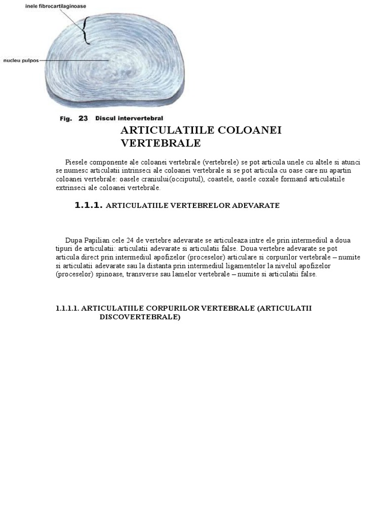 Odihnă în toamnă - odihnă-te cu o sănătate bună | Competent despre sănătate pe iLive