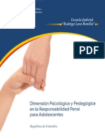 La Dimensión Psicológica y Pedagógica en El Sistema de Responsabilidad Penal Para Adolescentes - COLOMBIA