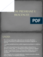 Odnosi Prehrane U Biocenozi