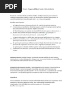 AVA - Tema 1 - Responsabilidade Social e Meio Ambiente.docx