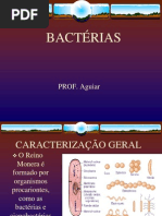 Bacterias