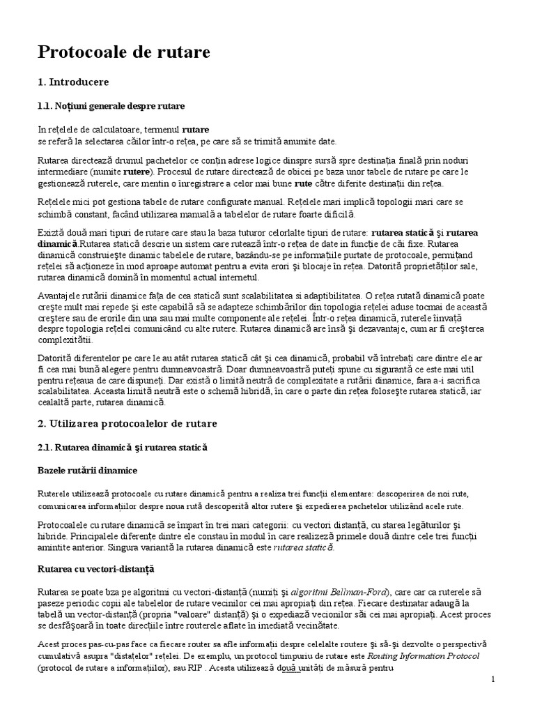 Protocoale Rutare | PDF