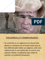 DESARROLLO FETAL Y PLACENTACIÓN DE CERDOS.pptx