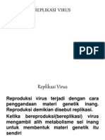 replikasivirus