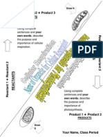 Photosynthesis V Respiration Foldable