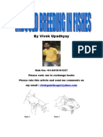 Fishes, Induced Breeding by Vivek Upadhyay +91-9919191257