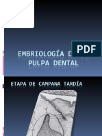 Biología Pulpar