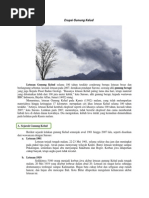 Download Makalah IPBA Bumi Murkah by Nurul D Winarno-Idw SN249932225 doc pdf