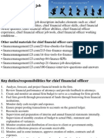 Chief Financial Officer Job Description