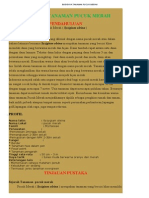 Budidaya Tanaman Pucuk Merah PDF