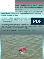 História de Pescador (Essa É Verdadeira)