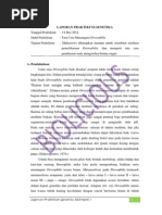 Download Laporan Praktikum Genetika Tata Cara Menangani Drosophila Pengamatan Siklus Hidup Drosophila Determinasi Drosophila  Pengenalan Mutan Drosophila by Nurlaela Pujianti SN249952261 doc pdf