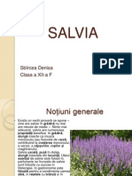 Salvia